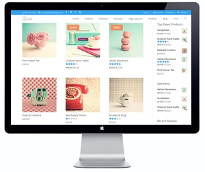 ABC Website Package ECOMMERCE a