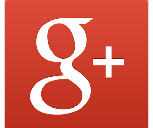 Use the Google +1 button on your content