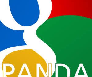 Google Panda: Are you still focusing on article marketing?