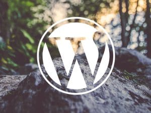 How to control your WordPress widgets - Widget Logic